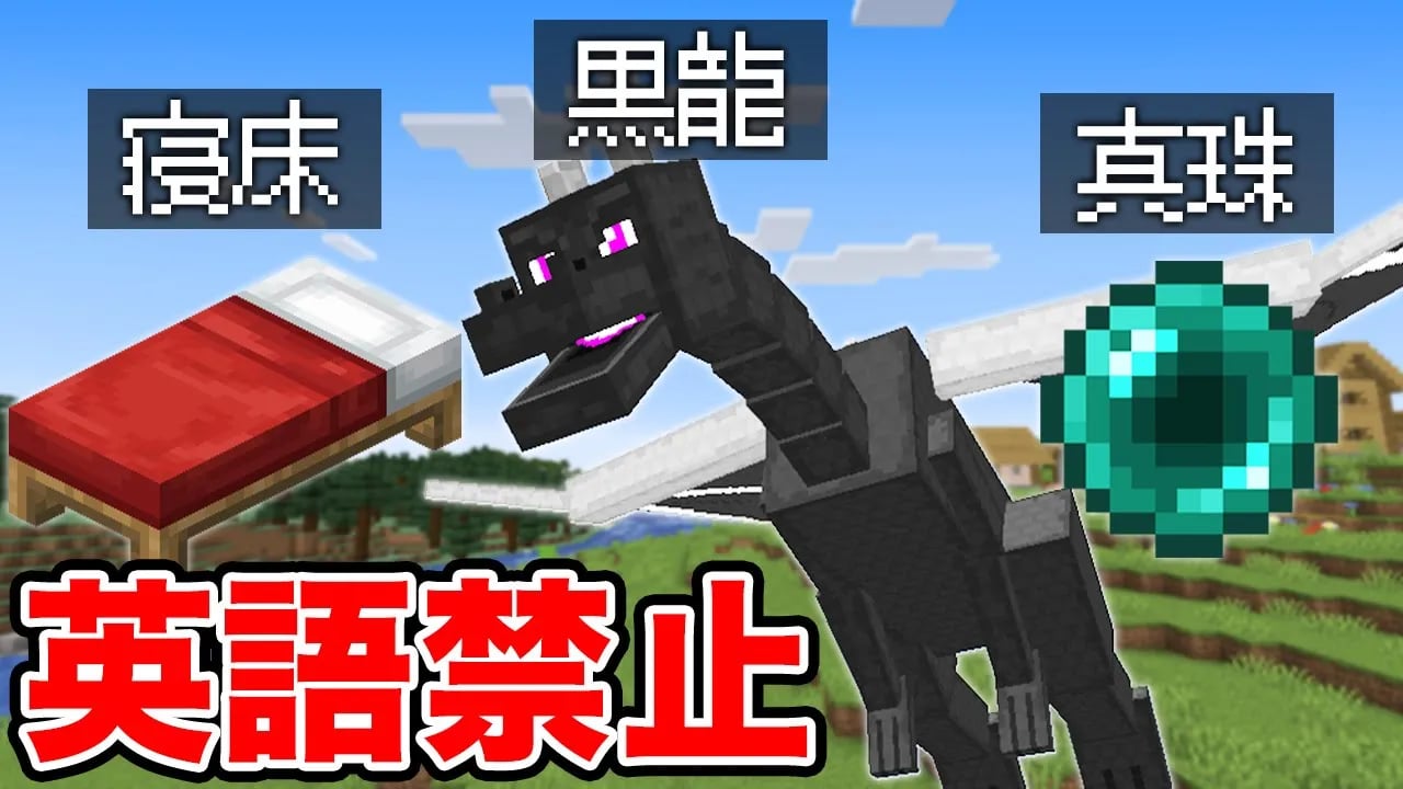 【マイクラ】英語禁止でエンドラ討伐が過酷すぎた！？ image